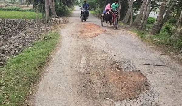 রাস্তা সংস্কারে অনিয়ম অভিযোগ: নড়াইলে ১১ কোটির সড়ক বেহাল
