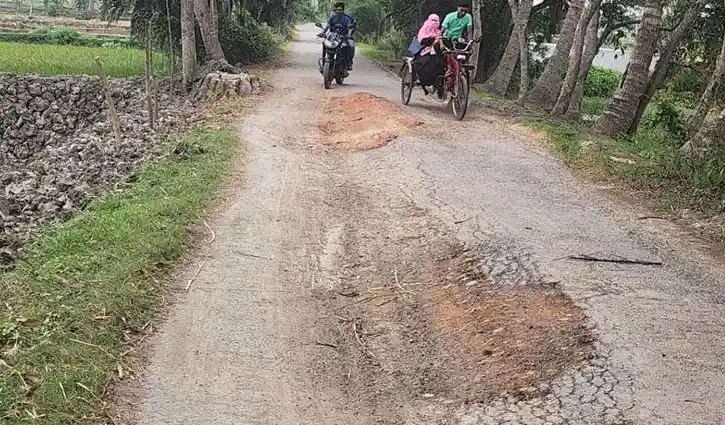 নড়াইল-শেখহাটি সড়কের বেহাল দশা