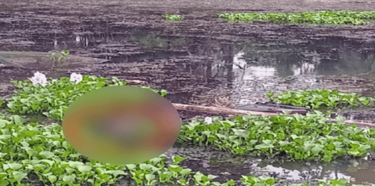 মহেশপুর সীমান্তে ৪ দিনে ২ মরদেহ উদ্ধার: ইছামতী নদীতে রহস্য ঘনীভূত