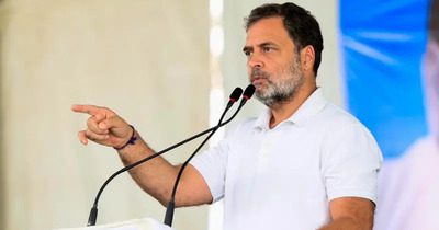 রাহুল গান্ধী কি বলে