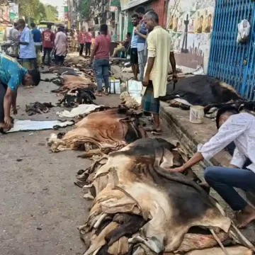 বগুড়ার চামড়ার বাজারে মন্দা
