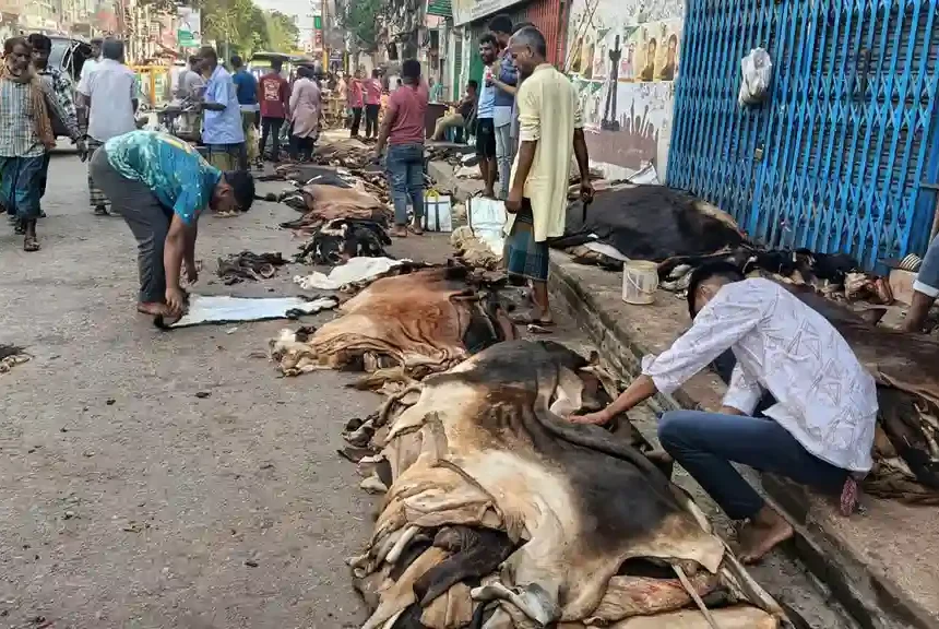 559 বগুড়ার চামড়ার বাজারে মন্দা