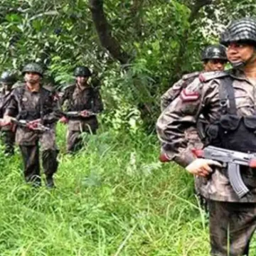 সীমান্তে চামড়া পাচার রোধে