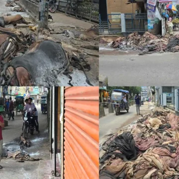 অবিক্রিত চামড়া ছড়াচ্ছে দুর্গন্ধ