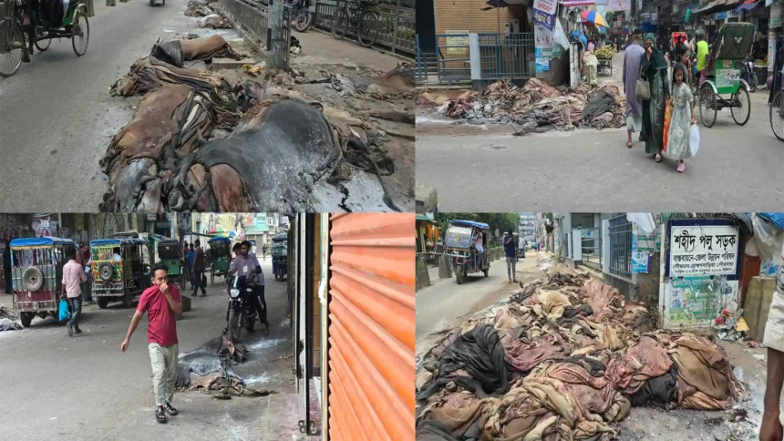অবিক্রিত চামড়া ছড়াচ্ছে দুর্গন্ধ