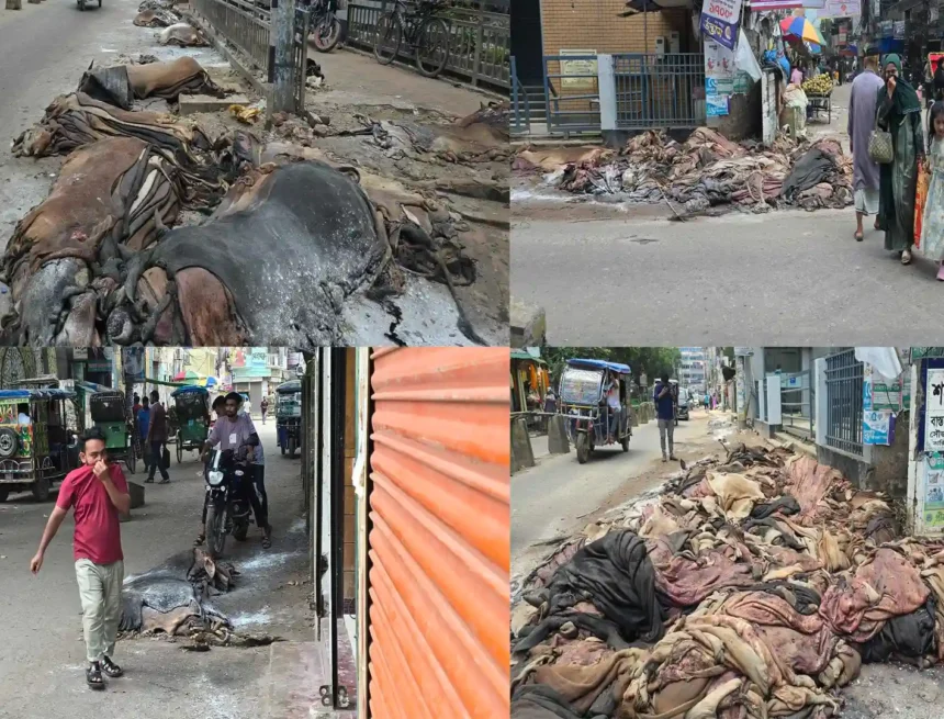 অবিক্রিত চামড়া ছড়াচ্ছে দুর্গন্ধ