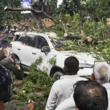 পশ্চিমবঙ্গে কালবৈশাখী ঝড়