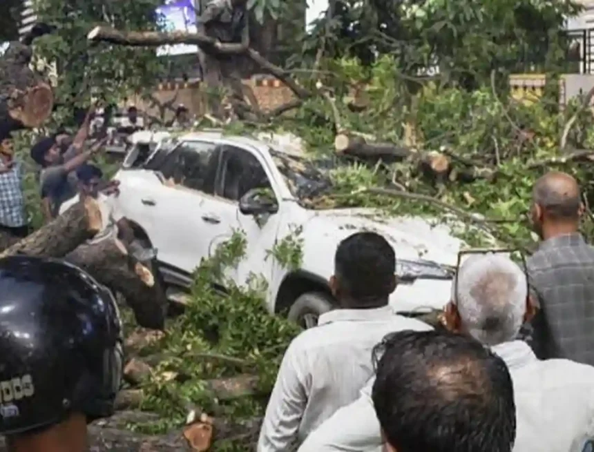 579 পশ্চিমবঙ্গে কালবৈশাখী ঝড়