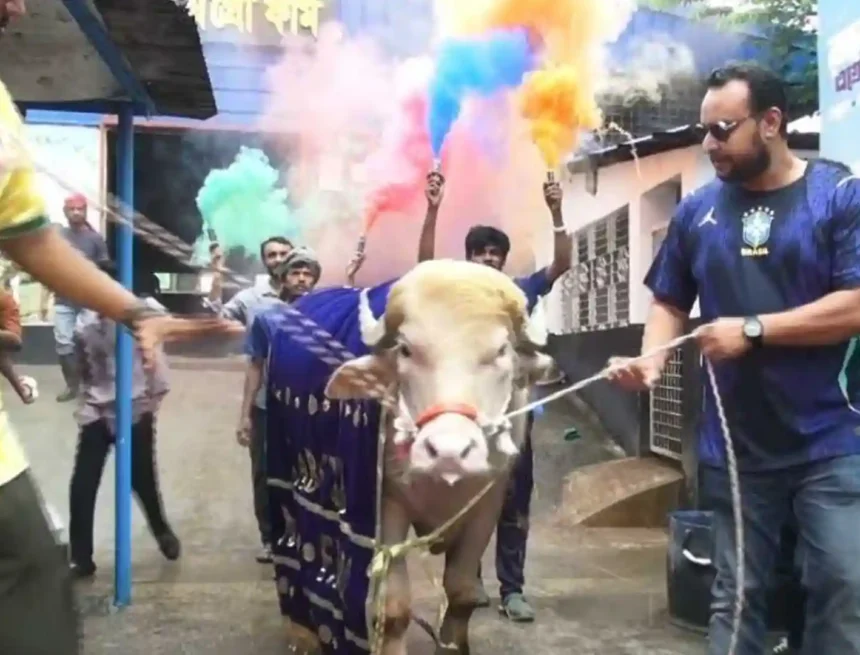 মহিষ ডনাল্ড ট্রাম্পকে বিদায়