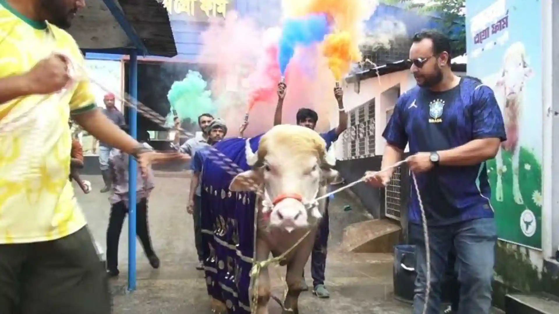মহিষ ডনাল্ড ট্রাম্পকে বিদায়