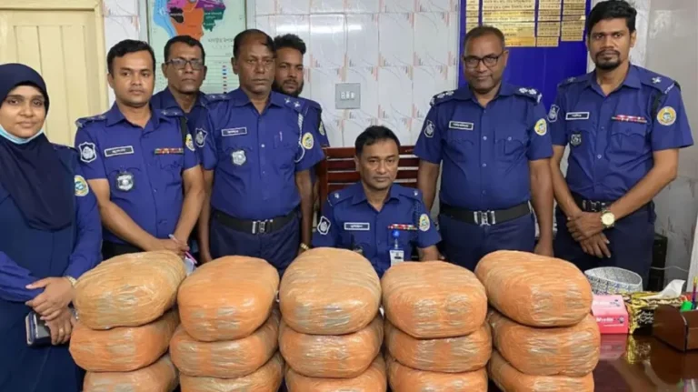 ৩০ কেজি গাঁজা উদ্ধার: মঠবাড়িয়ায় পুলিশের বড় সাফল্য
