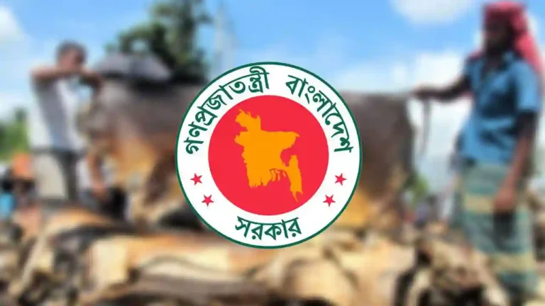 কোরবানির পশুর চামড়ার দাম নির্ধারণ করল সরকার
