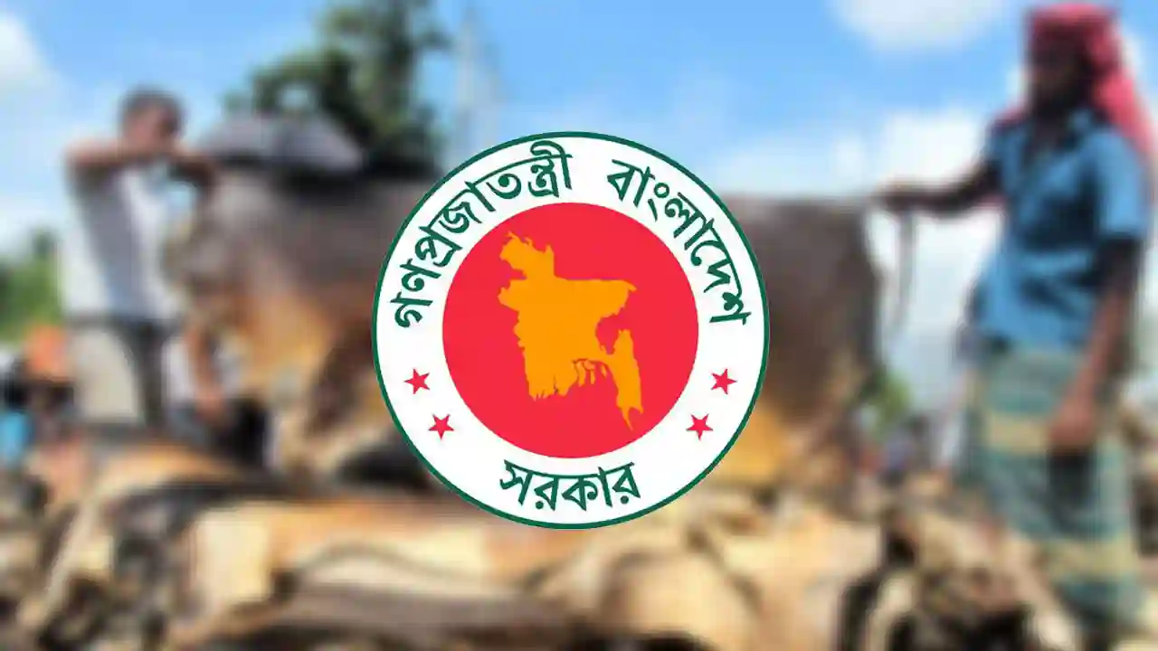 কোরবানির পশুর চামড়ার দাম