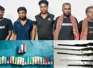 সুন্দরবনের গহীন অরণ্যে আবারও