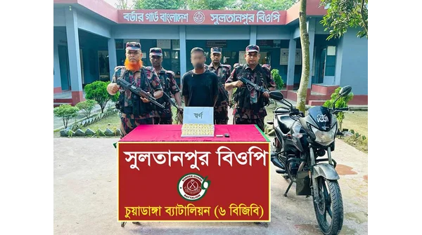 স্বর্ণের বার উদ্ধার: দর্শনা সীমান্তে ৩৯টি বারসহ আটক ১
