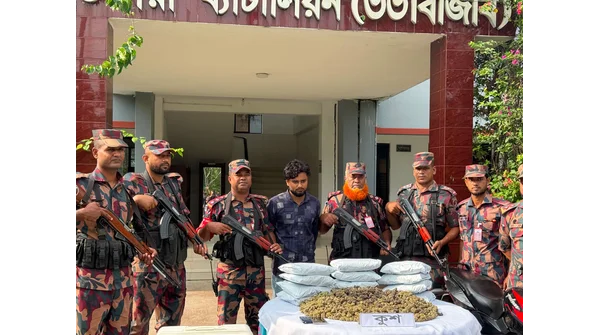 কুশ মাদক: চাঞ্চল্যকর উদ্ধার, ১২ কেজির দাম ৬ কোটি