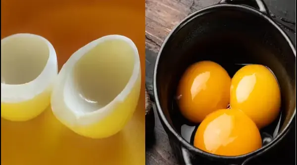 ডিমের প্রোটিন: সাদা নাকি কুসুমে বেশি? জেনে নিন