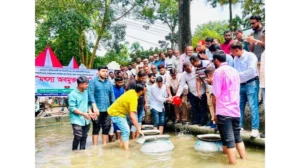 মৎস্য অবমুক্তকরণ: খুলনায় উৎপাদন বাড়ানোর আহ্বান